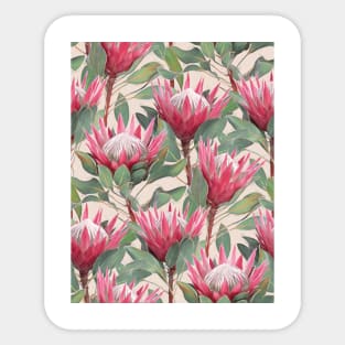 Painted King Proteas on Cream Sticker